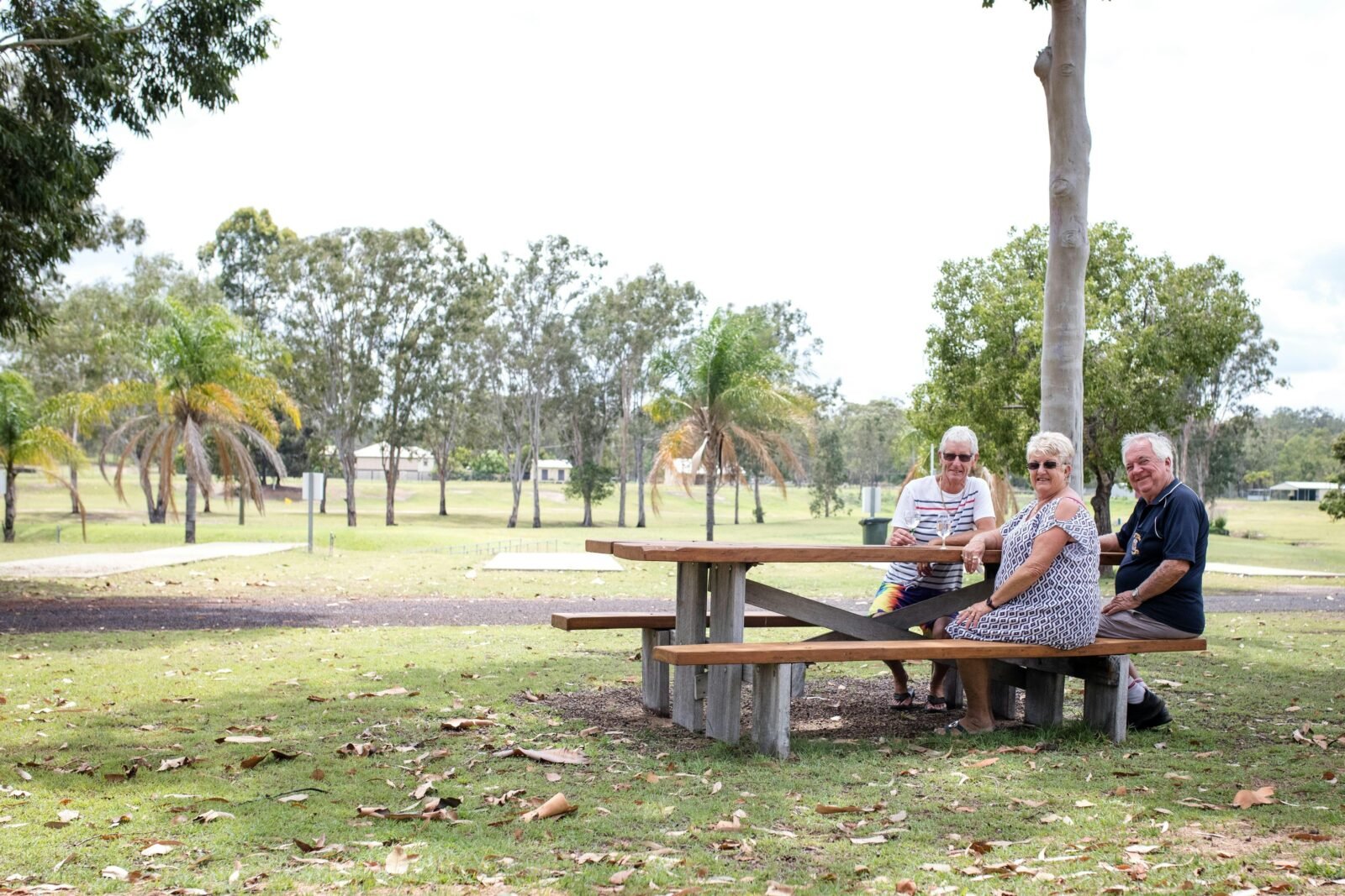 Picnic at the Park