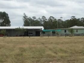 Escape To Nature At Basecamp