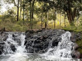 Flaggy Creek Caravan/Camping