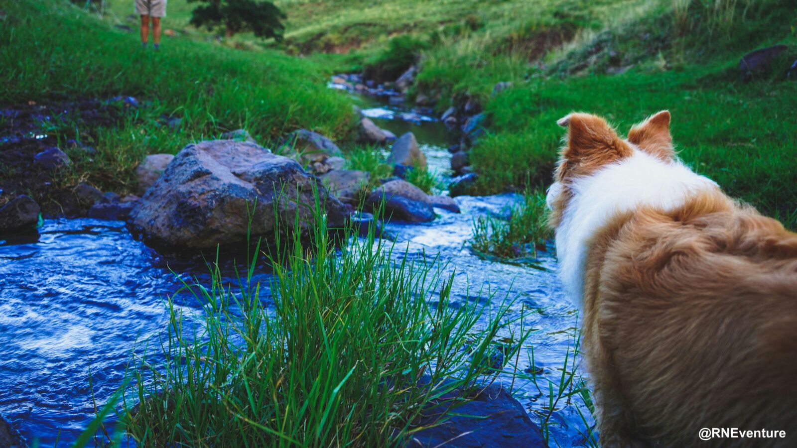 Frogâs Hollow Scenic Rim