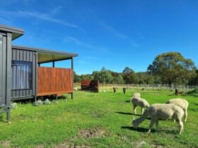 Gorgeous alpacas, and sustainable design principles were key in development of the Gin House concept