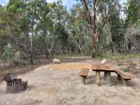 A flat, dirt camp site, featuring a fire pit and picnic table.