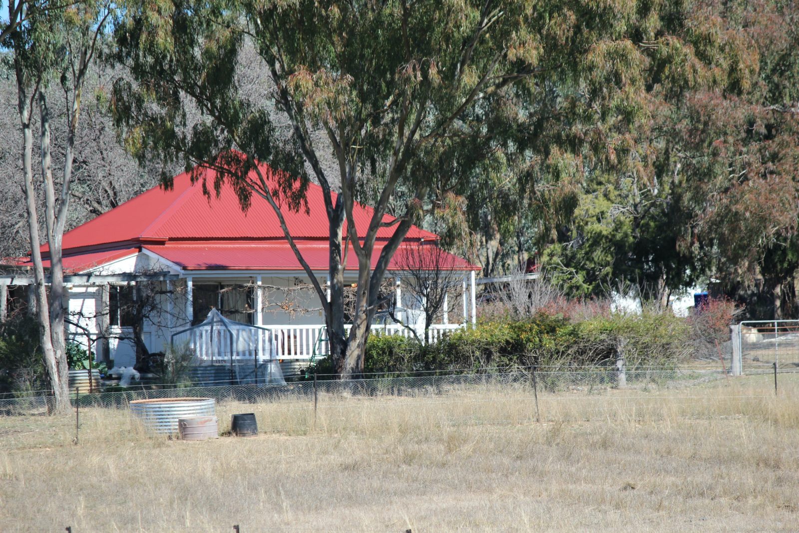 Cottage