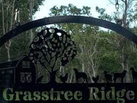 Grasstree Ridge