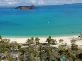 Beachfront accommodation