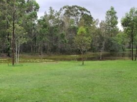 Haigslea Bush Camp
