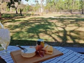 Relax and enjoy the quiet of the bush