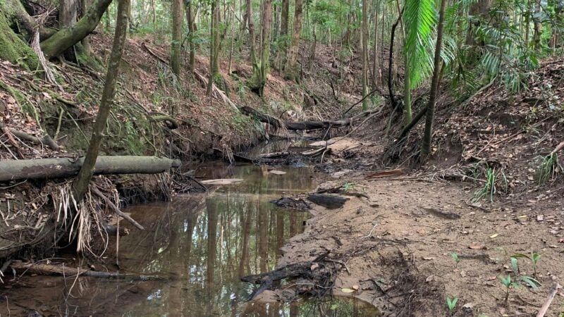 Highland Haven - Eudlo