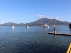 Hinchinbrook Island from Hinchinbrook Resorts