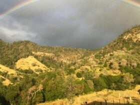 Rainbow, the symbol of hope which is why our property is called Hopevale.