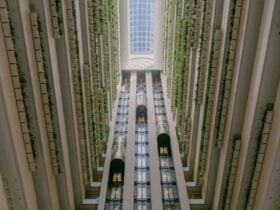 View to atrium