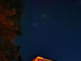 Jarrah Noongar