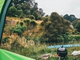 Kandanga Creekside Camping