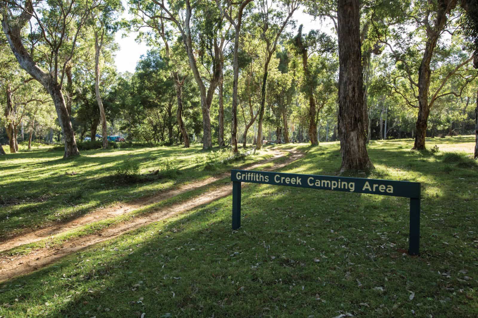 Grassy camping area at Kroombit Tops.