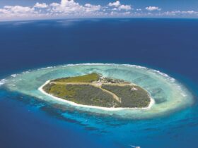 Aerial image of Lady Elliot Island