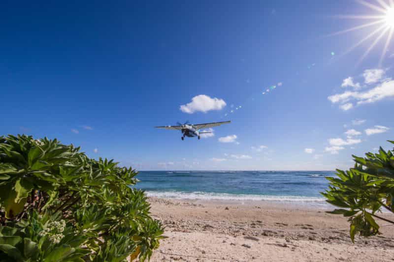 Lady Elliot Island
