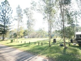 Borumba campgrounds