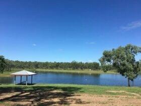 Lake Wivenhoe
