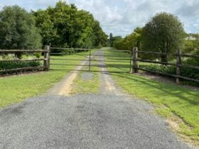 Laurel Bank Farm Stay