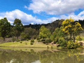 Loft Haven Meadows @ Girraween