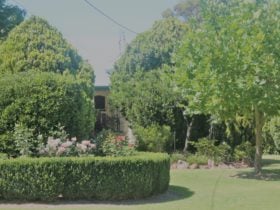 Lynrose Place