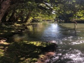 Inspiring Mena creek