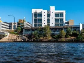 Hotel next to Sunshine Coast University Hospital