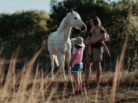 Milfarrago Farm