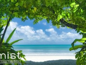 Mist at Cape Tribulation