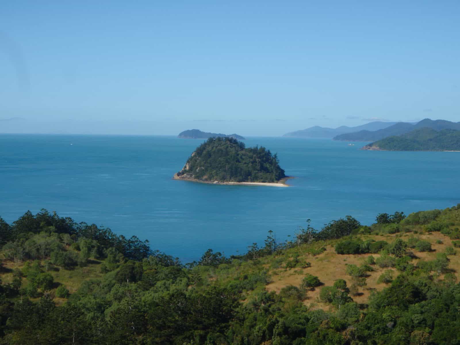 Small forested island sits in a blue sea in the distance with forested cliff top in foreground.