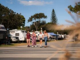 Shot of a family walking through the park