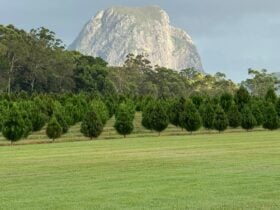 Mountain Country Farm Stay
