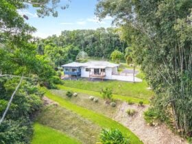Mountain View Tropical retreat, seclusion amidst the treetops.