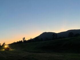 Moy Park Camping
