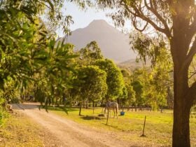 Mt Barney Lodge Eco Retreat