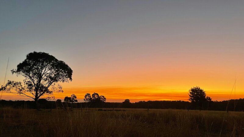 Myola Bush Retreat