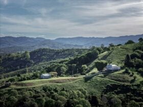 farm stay near brisbane