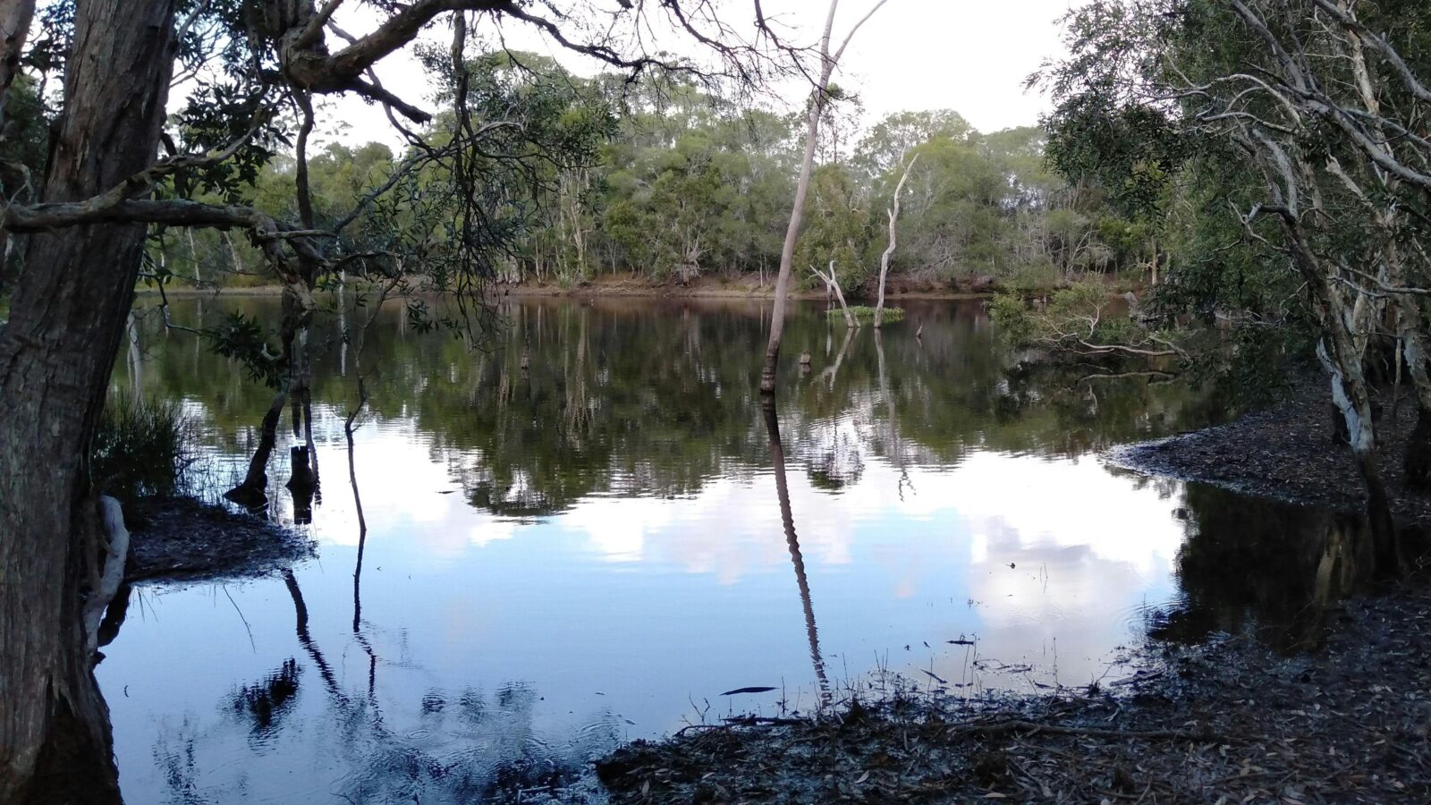 Nature Lovers Lagoon and River Camp