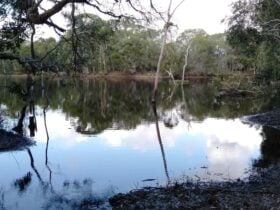 Nature Lovers Lagoon and River Camp