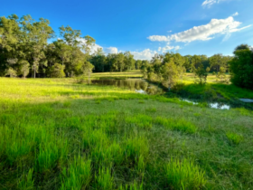 Noosa Equestrian & Camping