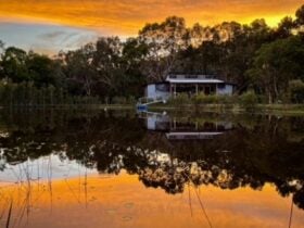Noosa Lake Stay