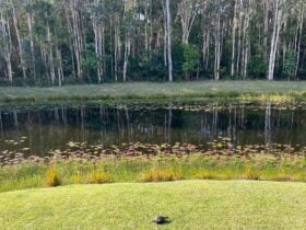 Lake and natural woodlands
