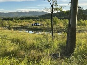 Waterholes
