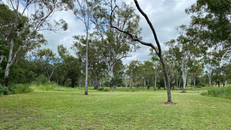 Oaky Creek Camp