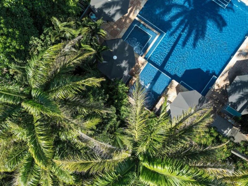 Blue pool set amongst palm trees