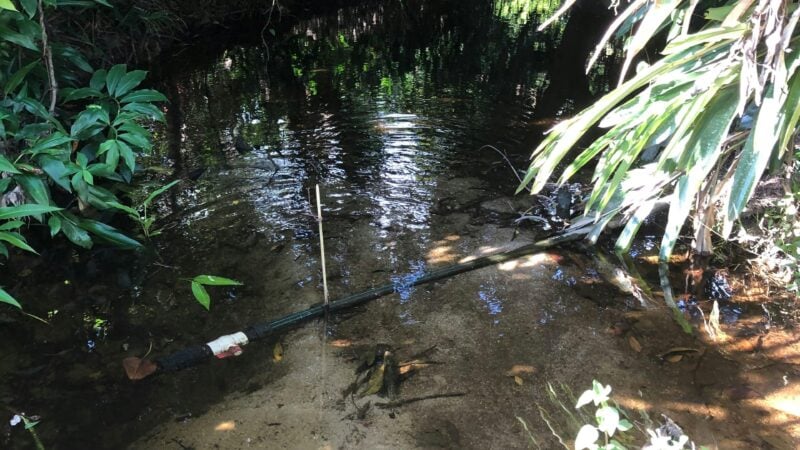 Pamona Park, nr Gordonvale