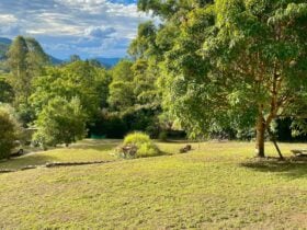 Permaculture Ecovillage Camping