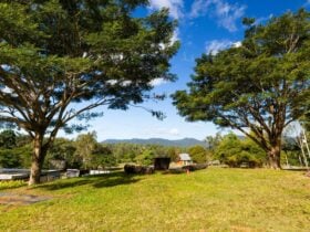 Piper's View | Park up and relax