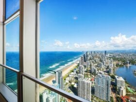 Views from the balcony - Q1 Resort and Residences - Gold Coast Holidays - Beach and City Views