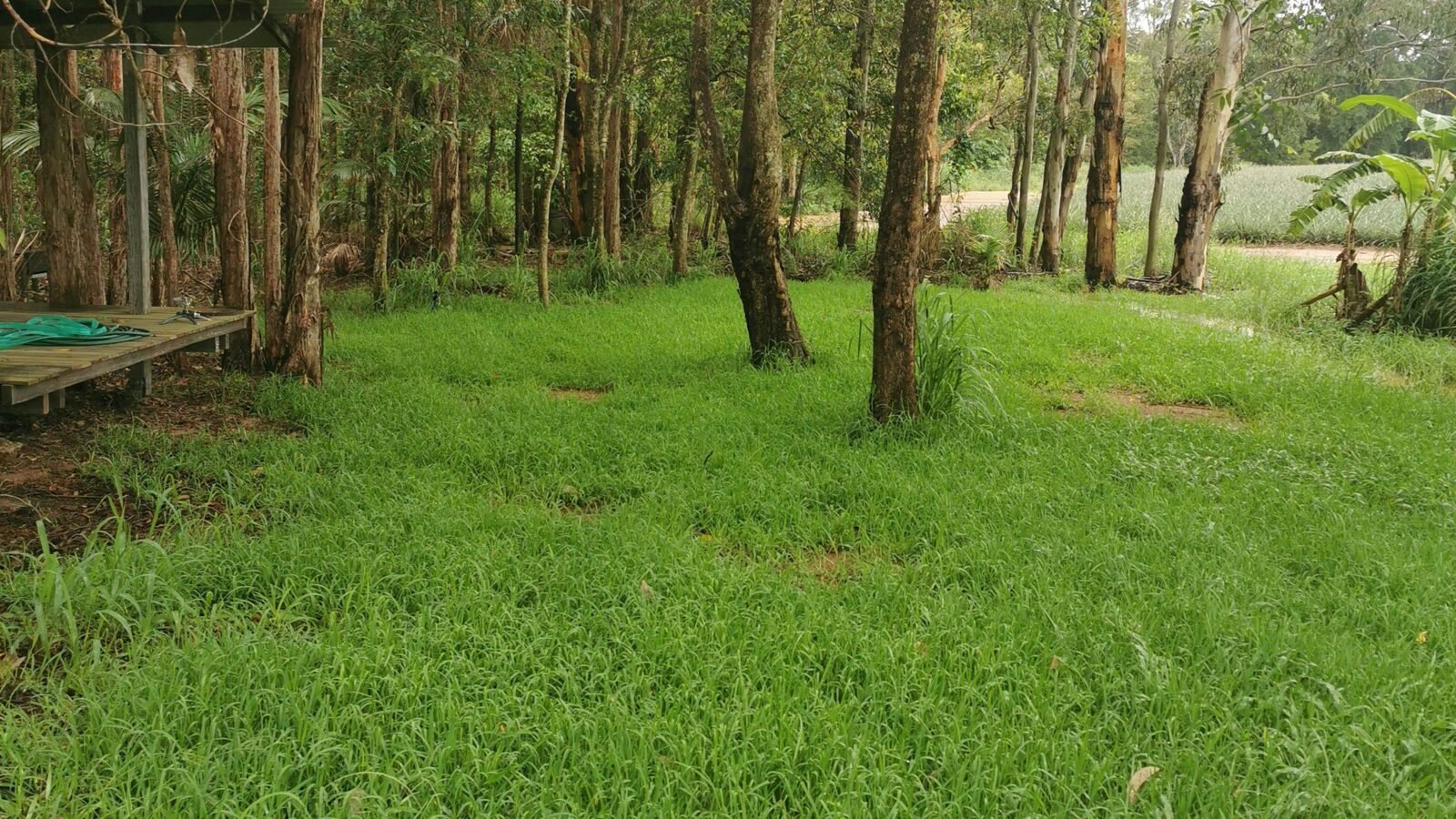 Quails Ridge Farm Stay